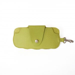 Etui a Lunettes Vert Eau